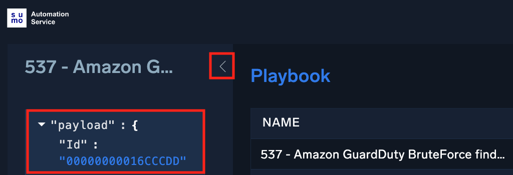 <View playbook payload>