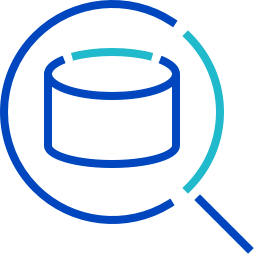 icon showing magnifying glass hovering over a data symbol